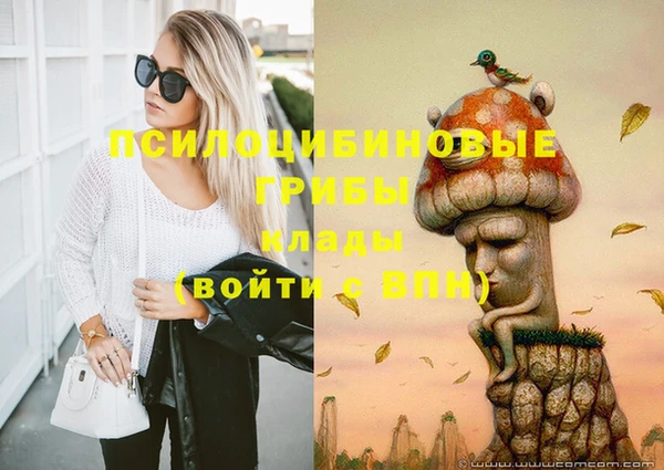 дмт Лихославль
