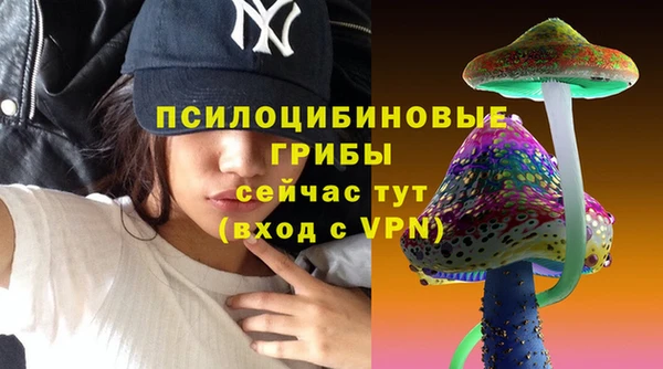 ПСИЛОЦИБИНОВЫЕ ГРИБЫ Дмитров
