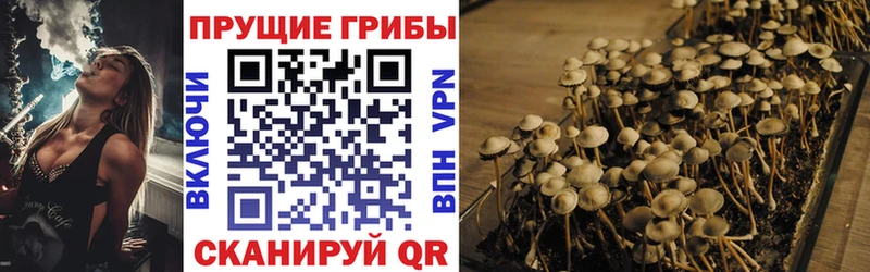 Галлюциногенные грибы GOLDEN TEACHER  хочу наркоту  Завитинск 