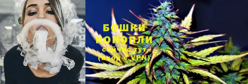 Конопля Bruce Banner  Завитинск 